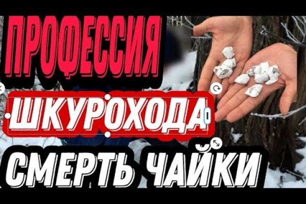 Омг омг ссылка телеграм